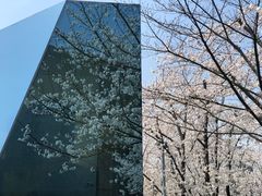 -龙美术馆西岸馆-停车场