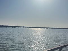 -天津金海湖