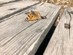 -帽儿山国家森林公园