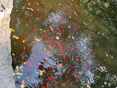 -南山风景名胜区