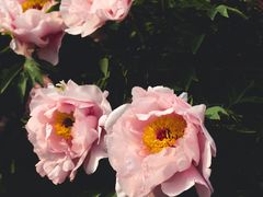 -迎泽公园