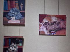 -淮国旧H22·中古店