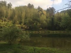 -永州阳明山国家森林公园