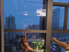 -蜀宴·家宴馆(升伟晶石店)