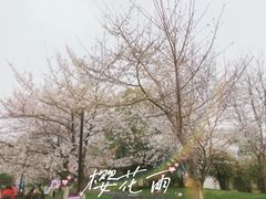 -堤角公园
