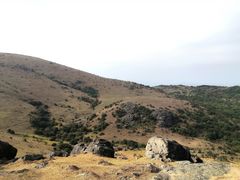 -大姆山草场