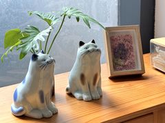 -猫里有甜