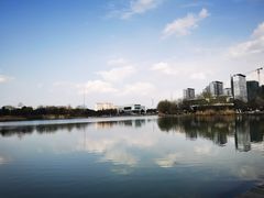 -九里河湿地公园