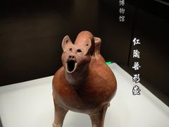-山东博物馆