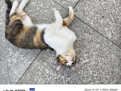 -西安外国语大学(长安校区)