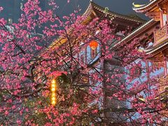 -大佛古寺