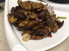 -西夏回族烧麦馆(牡丹街店)