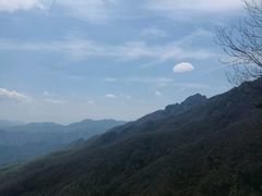 -牛背梁国家森林公园