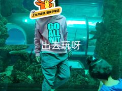 -乐从天佑城海洋馆