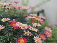 -边渡咖啡烘焙店(昙华林店)