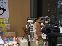 -comecome来吧宠物(奥克斯中心店)