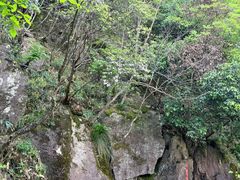 -东天目山风景区