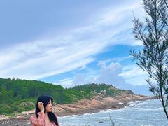 -广东惠东海龟国家级自然保护区