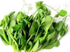 豌豆苗-海底捞火锅(万象城店)