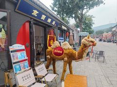 -中国第四纪冰川遗迹陈列馆
