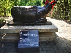 -姜子牙钓鱼台风景区