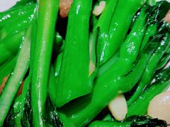 生炒菜心-岭南真味·匠心粤菜(K11店)