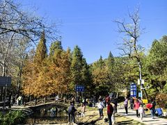 -白水寺森林公园