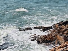 -广东惠东海龟国家级自然保护区