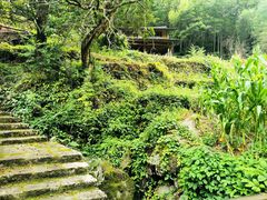 -楠溪江风景名胜区