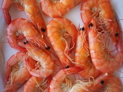 -渔民船说·北塘海鲜·天津菜·海肠捞饭(北塘古镇店)