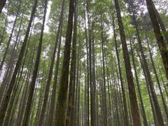 -山王坪喀斯特国家生态公园