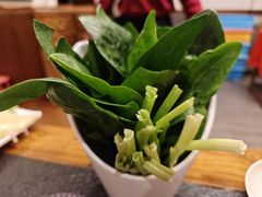 菠菜-仁和四季涮肉馆(天坛南门店)