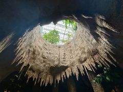 -南山植物园