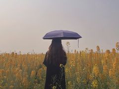 -中国天府农业博览园