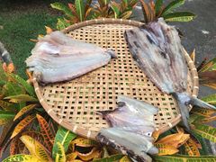 -鸿港海鲜批发市场