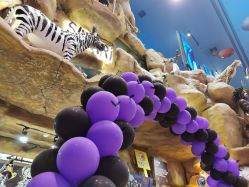 -卡通尼·Safari非洲探索乐园·生日会(金桥国际商业广场店)