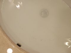 -张家界大成山水国际大酒店
