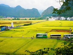 -万峰林风景区