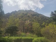 -北京鹫峰国家森林公园