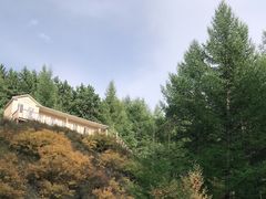 -苏木山森林公园