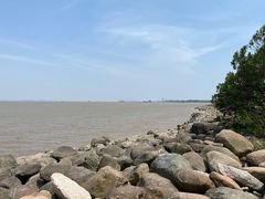 -上海吴淞炮台湾国家湿地公园