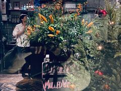 -Apollo·西班牙小酒馆(安福路店)