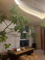 -阿南达·瑜伽普拉提·阿育吠陀疗愈中心