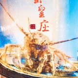 做人乐观，🈚蟹不欢—— 蟹皇庄
