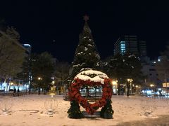 -札幌电视塔