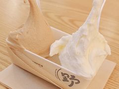 -野人先生Gelato(上海长宁龙之梦店)