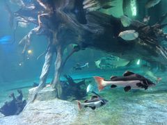 -华夏文旅海洋公园