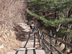 -王顺山国家森林公园