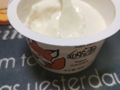 -狐狸家·酸奶酪专门店(平江路店)