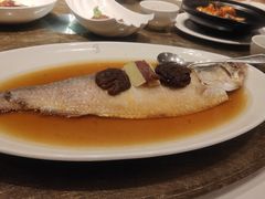 -苏浙汇(肇嘉浜路总店)